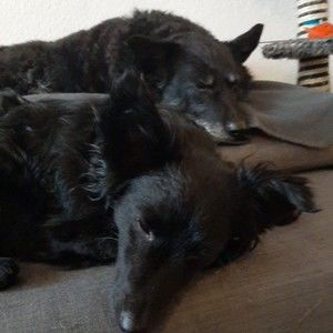 Meet your Posher, Leighton